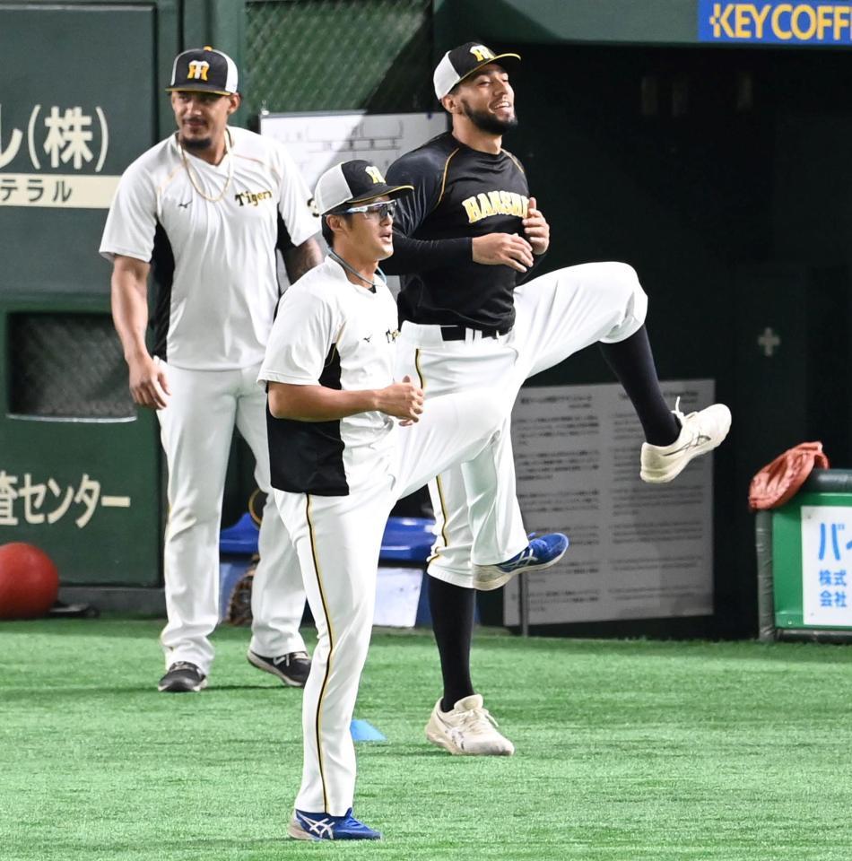 　１軍に合流しアップする板山（撮影・飯室逸平）