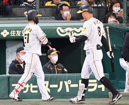 ９回、ベンチから戦況を見つめる矢野監督。右は空振り三振に倒れた佐藤輝（撮影・田中太一）