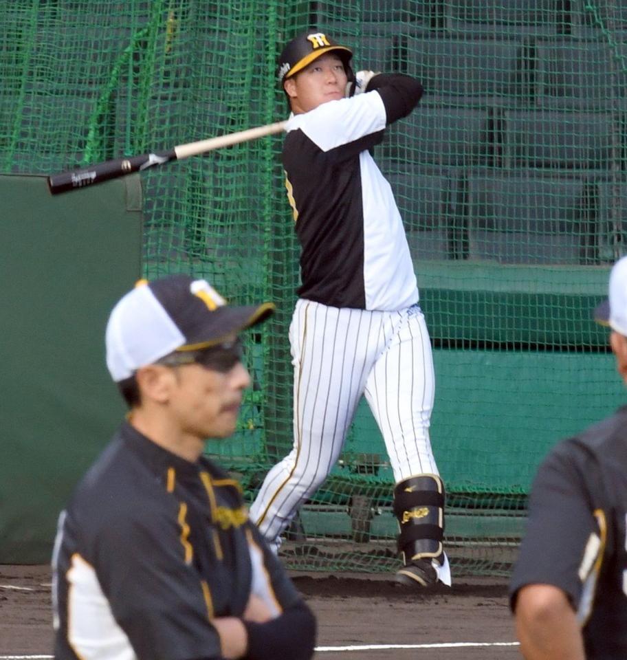 矢野監督（手前）が見る中、打撃練習をする大山（撮影・田中太一）