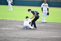 　試合中に左腕付近を痛めた阪神・北條