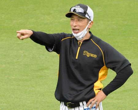 練習で選手に声をかける矢野監督（撮影・田中太一）