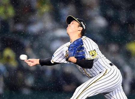 雨の中で力投する青柳（撮影・山口登）