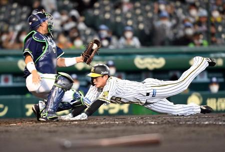 ４回、木浪は島田の中前打で生還する（捕手・中村）＝撮影・山口登