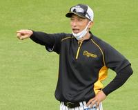 練習で選手に声をかける矢野監督（撮影・田中太一）