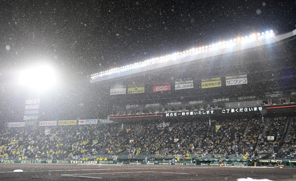 ４回裏開始前、激しい降雨で一時中断となる甲子園（撮影・飯室逸平）