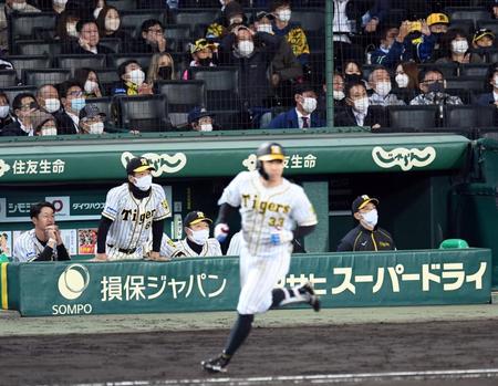 　９回、サヨナラの好機で糸原（手前）は左飛に倒れる。ベンチでグラウンドを見つめる矢野監督（右）、近本（左）＝撮影・田中太一