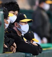 　９回、ベンチから自軍の攻撃を見るガンケル（撮影・北村雅宏）