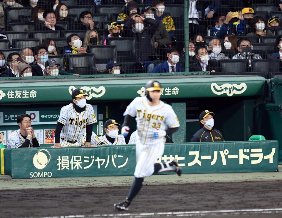 　９回、サヨナラの好機で糸原（手前）は左飛に倒れる。ベンチでグラウンドを見つめる矢野監督（右）、近本（左）＝撮影・田中太一