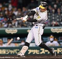６回、投ゴロに倒れる阪神・佐藤輝明＝甲子園（撮影・飯室逸平）