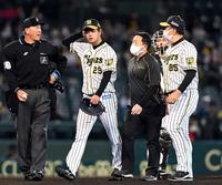 　９回、マウンドに上がるもベンチに戻る阪神・高橋（左から２人目）＝撮影・山口登
