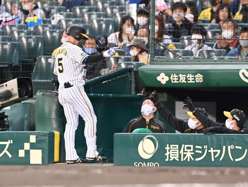 １回、先制点を奪う二ゴロを放ちベンチに下がる阪神・近本（撮影・飯室逸平）