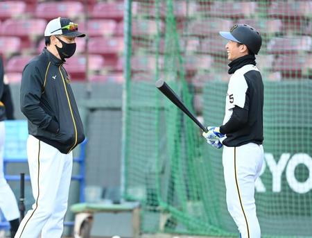 　矢野監督（左）と笑顔で話す近本（撮影・飯室逸平）