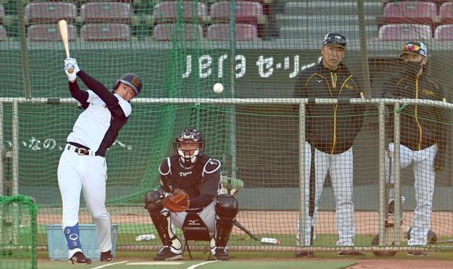 阪神・矢野監督　欠場の近本に「代打の一振りだけは準備して待っている」