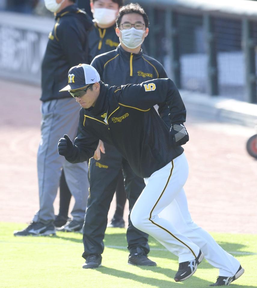 軽めに走る近本（撮影・田中太一）