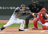 ８回、スクイズを決める島田（撮影・田中太一）