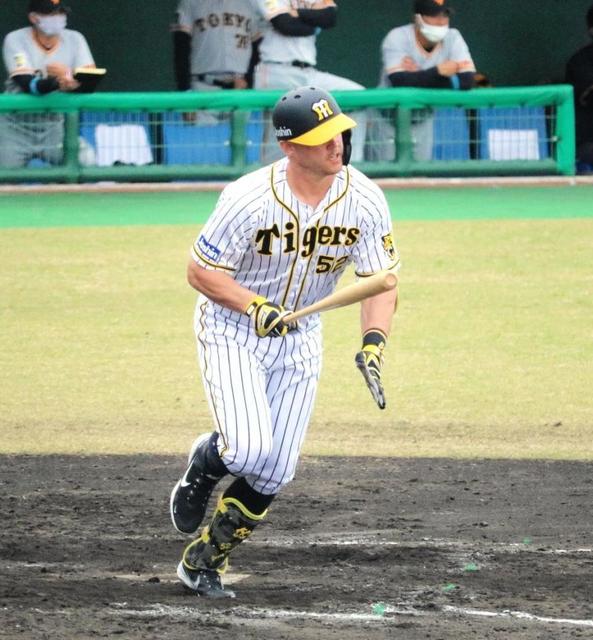 阪神 サンズ 一塁から本塁へ激走も打った陽川にクレーム 走らせるなよ 笑 阪神タイガース デイリースポーツ Online