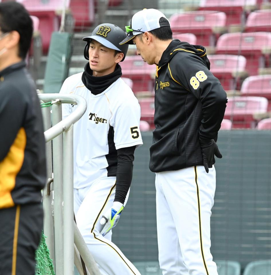 練習中、矢野監督と話す近本（撮影・飯室逸平）