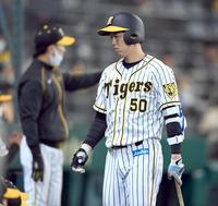 　２回、矢野監督（奥）に代打を送られベンチへ下がる青柳（撮影・田中太一）