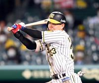 ６回阪神１死、阪神・糸原健斗は左前打を放つ＝甲子園（撮影・山口登）