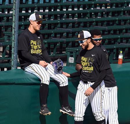 佐藤輝（左）は外野のラバーフェンスに座りスアレスと談笑する（撮影・山口登）