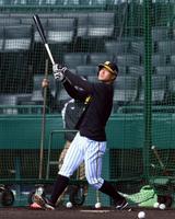 打撃練習する佐藤輝（撮影・山口登）