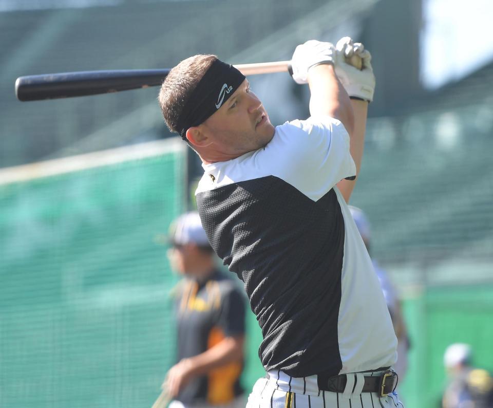 　打撃練習に励むサンズ（撮影・高部洋祐）