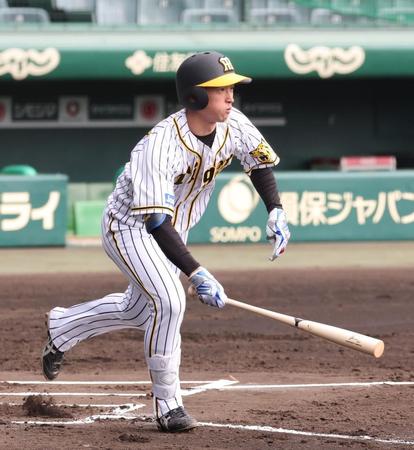 　シート打撃で二ゴロに倒れる近本（撮影・高部洋祐）