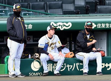 　シート打撃の登板を終えた青柳（中央）はベンチ前で渋い表情を見せる（撮影・山口登）