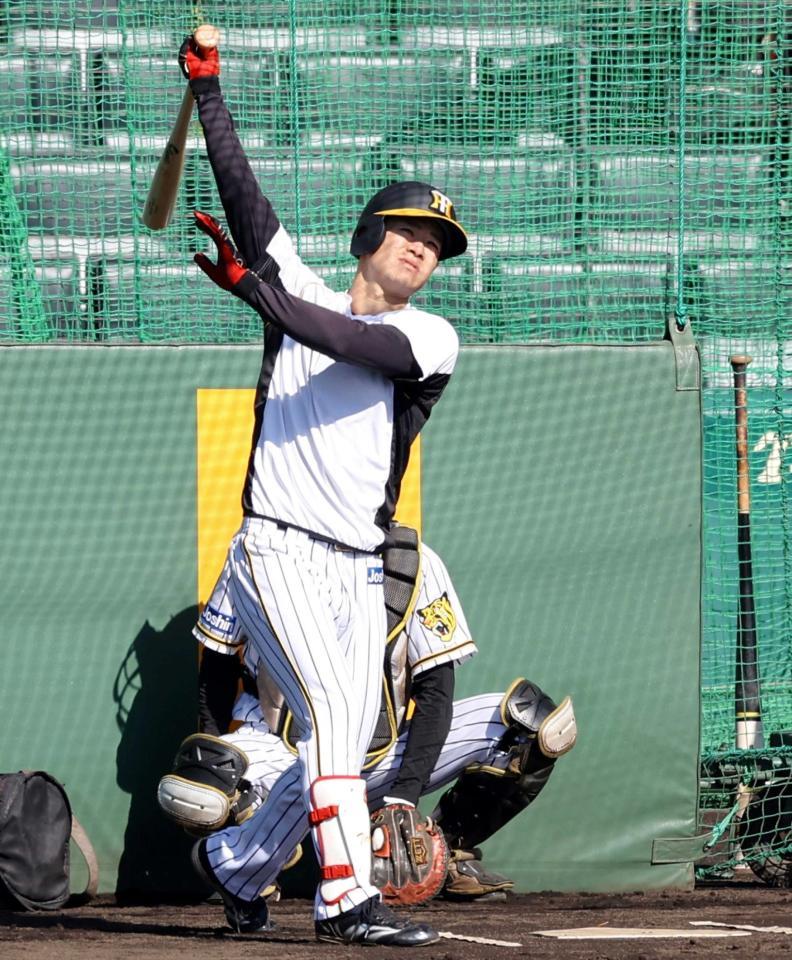 　打撃練習する中野（撮影・飯室逸平）