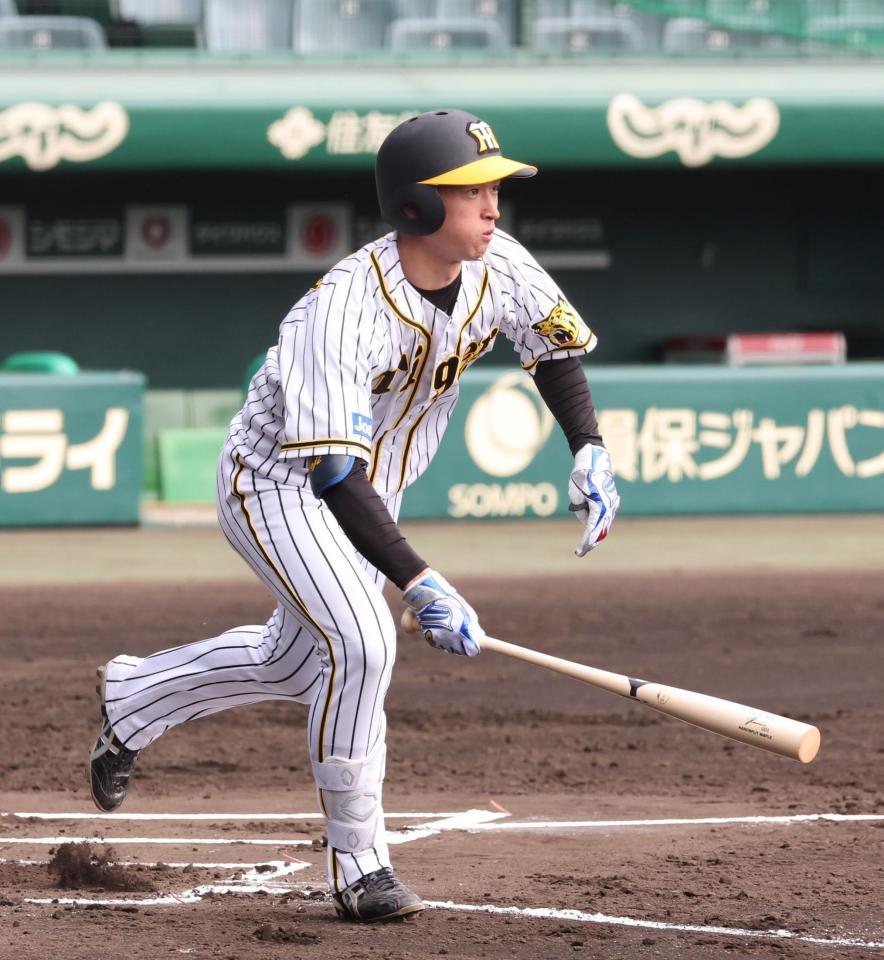 　シート打撃で二ゴロに倒れる近本（撮影・高部洋祐）