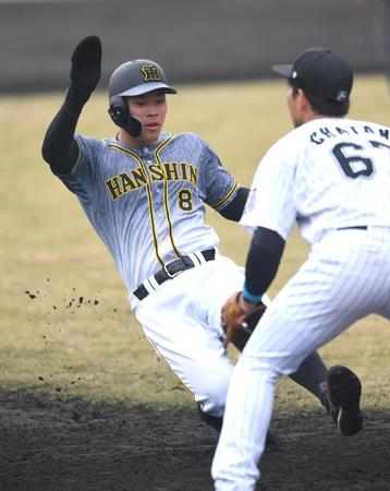 　８回、長坂の犠飛で三進する佐藤輝（撮影・北村雅宏）
