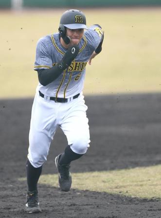 　８回、長坂の犠飛で三進する佐藤輝（撮影・北村雅宏）