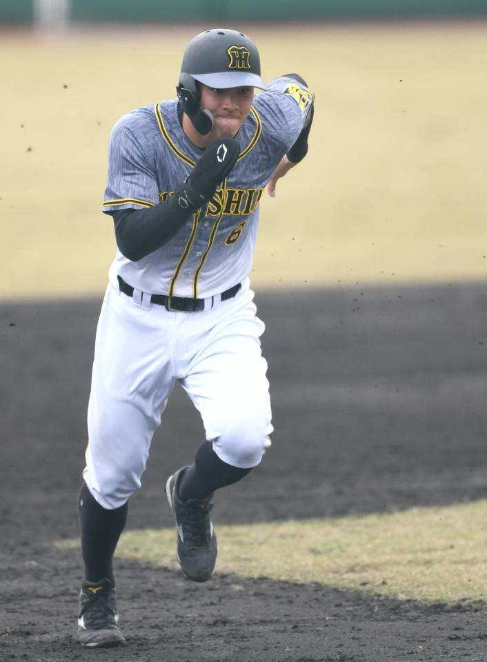 　８回、長坂の犠飛で三進する佐藤輝（撮影・北村雅宏）