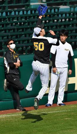 　ボールに飛びつく青柳（撮影・佐々木彰尚）