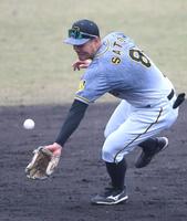 　９回、西川の打球をはじく佐藤輝（撮影・北村雅宏）