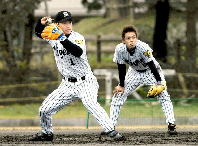 岡田彰布氏が語る鳥谷 肩の強さで藤本と遊撃コンバート－05年優勝