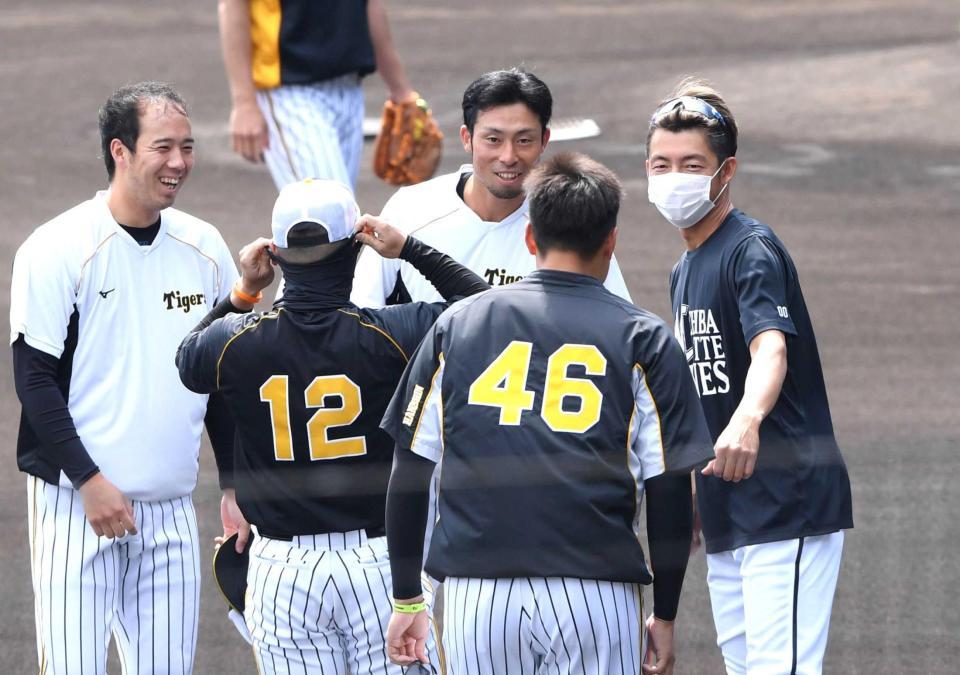 今年の交流戦で青柳（左）、秋山（４６）ら阪神ナインとあいさつを交わす鳥谷（右）