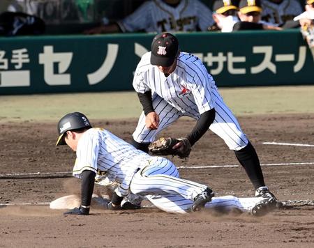 　近本はけん制されヘッドスライディングで帰塁する（撮影・山口登）