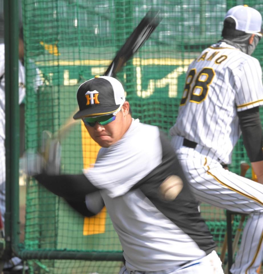 阪神タイガース　大山悠輔 3🐯📸. . 大山くん☺️✨. . . #阪神 #阪神タイガース