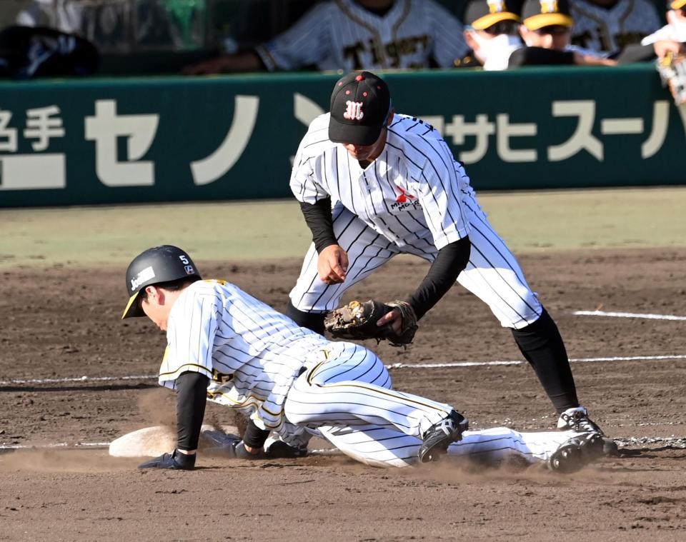 　近本はけん制されヘッドスライディングで帰塁する（撮影・山口登）