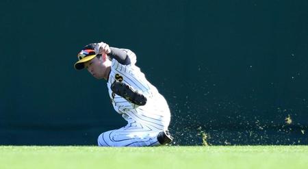 ５回、大和高田クラブ・松本の打球をスライディングキャッチする近本（撮影・北村雅宏）