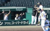 ５回、ソロを放った阪神・ジェリー　サンズを迎える阪神・矢野燿大監督ら＝甲子園（撮影・飯室逸平）