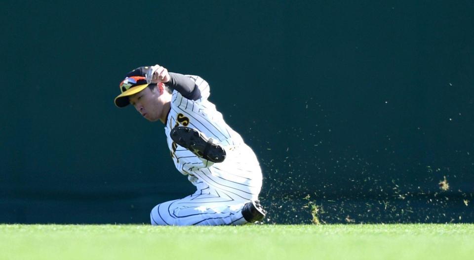 ５回、大和高田クラブ・松本の打球をスライディングキャッチする近本（撮影・北村雅宏）