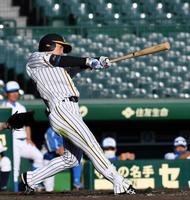 　９回、右前打を放つ近本