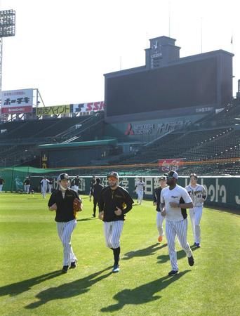 　甲子園の外野をランニングする阪神投手陣