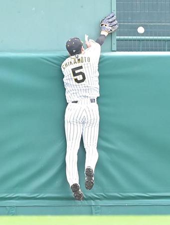 　６回、ウィーラーの打球に飛びつくも取り損ねる近本（撮影・高部洋祐）