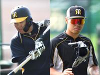 　ベンチスタートが濃厚となった大山（左）と佐藤輝
