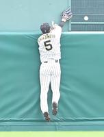 　６回、ウィーラーの打球に飛びつくも取り損ねる近本（撮影・高部洋祐）