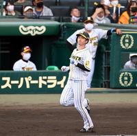 　６回、近本は遊飛に倒れる（撮影・山口登）