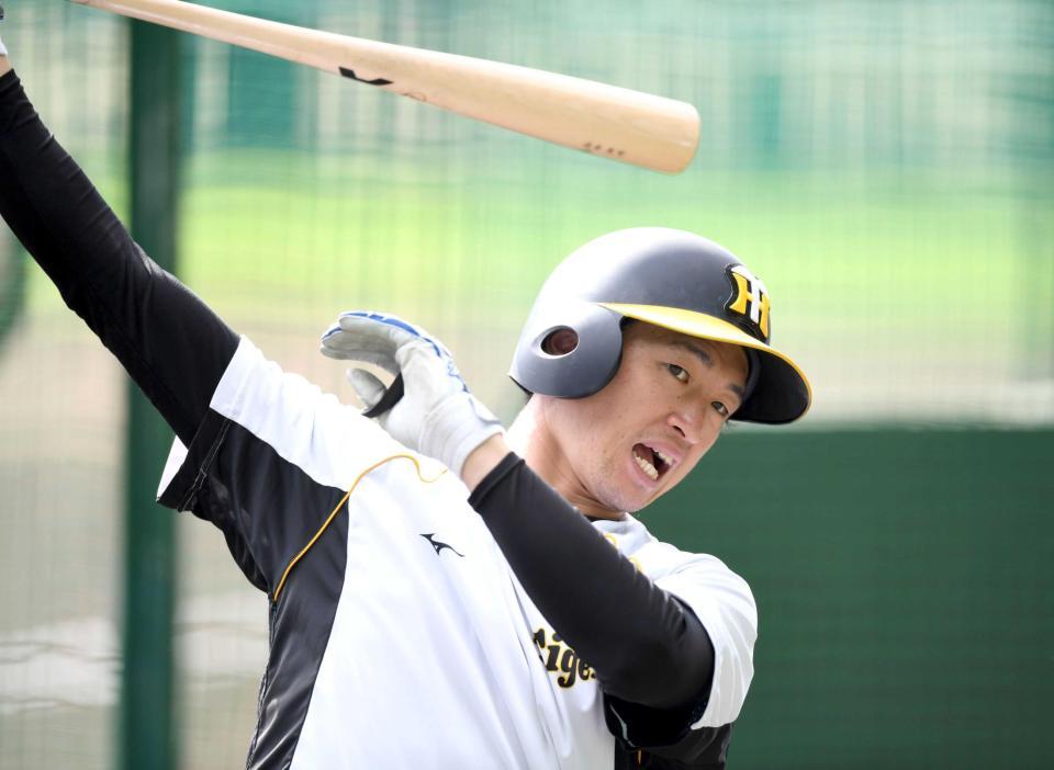 　打撃練習で快音を響かせる近本（撮影・北村雅宏）